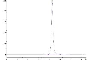 The purity of Human IL-5R alpha is greater than 95 % as determined by SEC-HPLC.