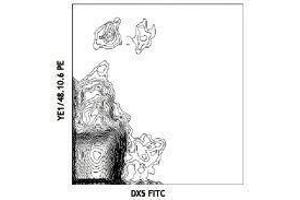 Flow Cytometry (FACS) image for anti-Killer Cell Lectin-Like Receptor, Subfamily A, Member 1 (KLRA1) antibody (FITC) (ABIN2661960)