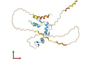 AlphaFold protein structure predicition of Human Recombinant KLF16 Protein, UniprotID Q9BXK1