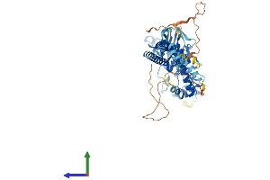 AlphaFold protein structure predicition of Mouse Recombinant Asic4 Protein, UniprotID Q7TNS7