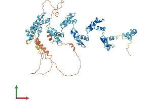 AlphaFold protein structure predicition of Human Recombinant ZNF630 Protein, UniprotID Q2M218