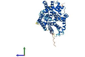 AlphaFold protein structure predicition of Mouse Recombinant Alg3 Protein, UniprotID Q8K2A8