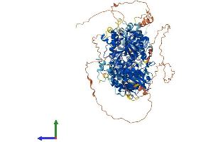 AlphaFold protein structure predicition of Human Recombinant AGTPBP1 Protein, UniprotID Q9UPW5