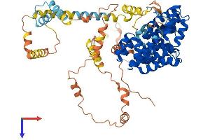 AlphaFold protein structure predicition of Mouse Recombinant Pex5 Protein, UniprotID O09012
