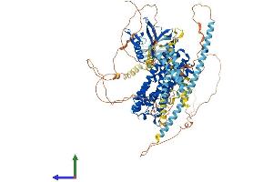 AlphaFold protein structure predicition of Human Recombinant ARHGEF2 Protein, UniprotID Q92974