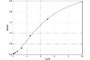 Growth Associated Protein 43 (GAP43) ELISA Kit