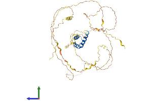 AlphaFold protein structure predicition of Human Recombinant IRX5 Protein, UniprotID P78411
