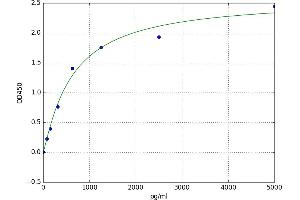 A typical standard curve