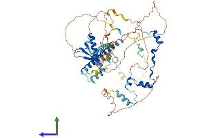 AlphaFold protein structure predicition of Mouse Recombinant Rad21l1 Protein, UniprotID A2AU37