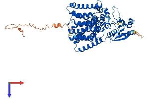 AlphaFold protein structure predicition of Human Recombinant PIGB Protein, UniprotID Q92521