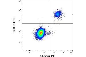 Flow cytometry multicolor surface staining of human lymphocytes using anti-human CD19 (LT19) APC antibody (10 μL reagent / 100 μL of peripheral whole blood) and intracellular staining of human lymphocytes using anti-human CD79a (HM47) PE antibody (10 μL reagent / 100 μL of peripheral whole blood). (CD79a anticorps  (AA 208-222) (PE))