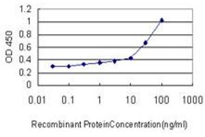 Detection limit for recombinant GST tagged RUNX2 is approximately 10ng/ml as a capture antibody. (RUNX2 anticorps  (AA 251-350))
