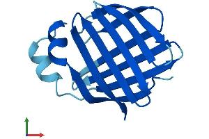 AlphaFold protein structure predicition of Mouse Recombinant Fabp1 Protein, UniprotID P12710