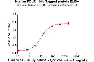 ELISA plate pre-coated by 2 μg/mL (100 μL/well) Human F Protein, His Tag (ABIN7092684, ABIN7272214 and ABIN7272215) can bind Anti-F antibody, IgG1 Chimeric mAb in a linear range of 3.