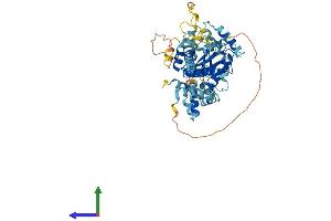 AlphaFold protein structure predicition of Mouse Recombinant Tigd4 Protein, UniprotID Q8BUZ3