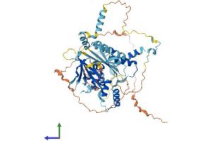 AlphaFold protein structure predicition of Mouse Recombinant Supt20h Protein, UniprotID Q7TT00