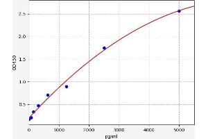 Typical standard curve