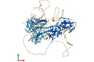 AlphaFold protein structure predicition of Mouse Recombinant Sos2 Protein, UniprotID Q02384