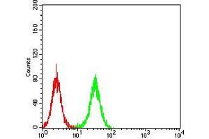 Flow cytometric analysis of K562 cells using TCF4 mouse mAb (green) and negative control (red).