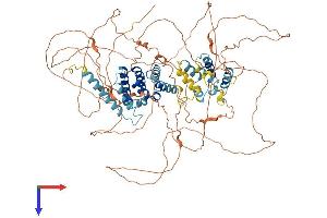 AlphaFold protein structure predicition of Human Recombinant GPRASP2 Protein, UniprotID Q96D09