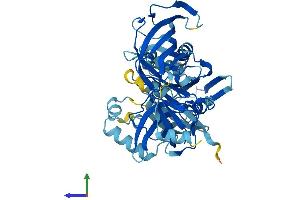 AlphaFold protein structure predicition of Mouse Recombinant Eef1a1 Protein, UniprotID P10126
