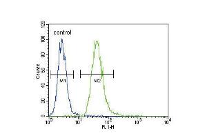 Flow cytometric analysis of A549 cells (right histogram) compared to a negative control cell (left histogram).