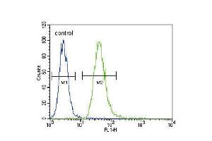 Flow cytometric analysis of A549 cells (right histogram) compared to a negative control cell (left histogram). (TNFRSF1A anticorps  (AA 252-281))