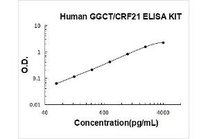 gamma-Glutamylcyclotransferase (GGCT) ELISA Kit