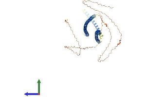 AlphaFold protein structure predicition of Mouse Recombinant Krt10 Protein, UniprotID P02535