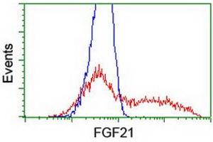 HEK293T cells transfected with either RC204538 overexpress plasmid (Red) or empty vector control plasmid (Blue) were immunostained by anti-FGF21 antibody (ABIN2454615), and then analyzed by flow cytometry. (FGF21 anticorps  (AA 29-209))