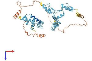 AlphaFold protein structure predicition of Human Recombinant ZSCAN9 Protein, UniprotID O15535
