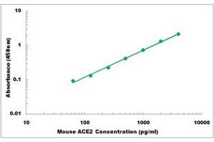 Representative Standard Curve (ACE2 Kit ELISA)
