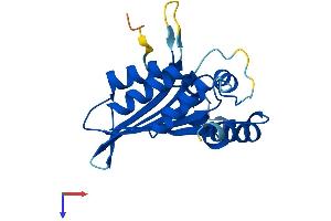 AlphaFold protein structure predicition of Human Recombinant APOBEC3C Protein, UniprotID Q9NRW3