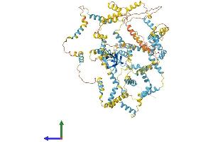 AlphaFold protein structure predicition of Human Recombinant NEBL Protein, UniprotID O76041
