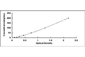 Insulin Autoantibody ELISA Kit