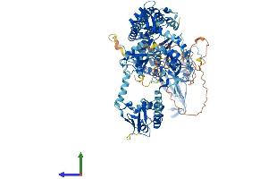 AlphaFold protein structure predicition of Human Recombinant USP48 Protein, UniprotID Q86UV5