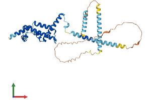 AlphaFold protein structure predicition of Mouse Recombinant Cfap36 Protein, UniprotID Q8C6E0