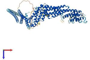 AlphaFold protein structure predicition of Human Recombinant RINT1 Protein, UniprotID Q6NUQ1