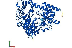 AlphaFold protein structure predicition of Mouse Recombinant Kyat1 Protein, UniprotID Q8BTY1