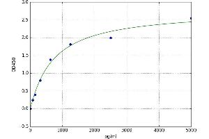 Fibroblast Growth Factor 5 (FGF5) ELISA Kit