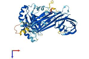 AlphaFold protein structure predicition of Human Recombinant AP5M1 Protein, UniprotID Q9H0R1