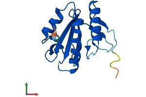 AlphaFold protein structure predicition of Human Recombinant TXNL4A Protein, UniprotID P83876