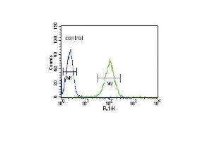 NOS3 Antibody (N-term) (ABIN652267 and ABIN2841142) flow cytometric analysis of HL-60 cells (right histogram) compared to a negative control cell (left histogram). (ENOS anticorps  (N-Term))
