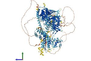 AlphaFold protein structure predicition of Mouse Recombinant Map3k5 Protein, UniprotID O35099