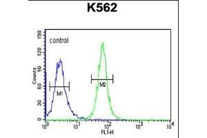 GTD2A Antibody (C-term) (ABIN651140 and ABIN2840094) flow cytometric analysis of K562 cells (right histogram) compared to a negative control cell (left histogram).