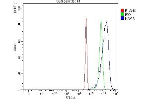 Flow Cytometry analysis of SiHa cells using anti-Fibroblast activation protein, alpha/FAP antibody (ABIN7602234). (FAP anticorps  (AA 65-580))