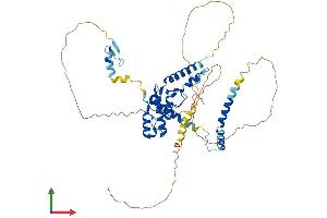 AlphaFold protein structure predicition of Human Recombinant RAD18 Protein, UniprotID Q9NS91