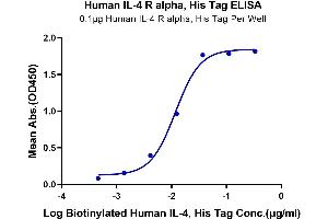 Immobilized Human IL-4 R alpha, His Tag at 1 μg/mL (100 μL/Well).