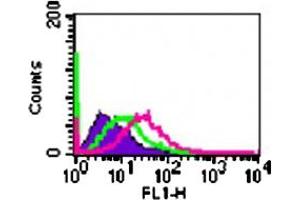 Cell-surface flow cytometry analysis of IL20RA in A-375 cells using IL20RA polyclonal antibody  at 5 ug/10^6 cells.