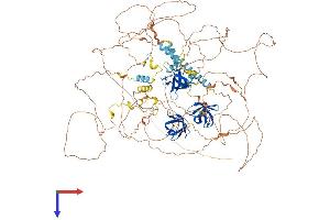 AlphaFold protein structure predicition of Human Recombinant SORBS2 Protein, UniprotID O94875